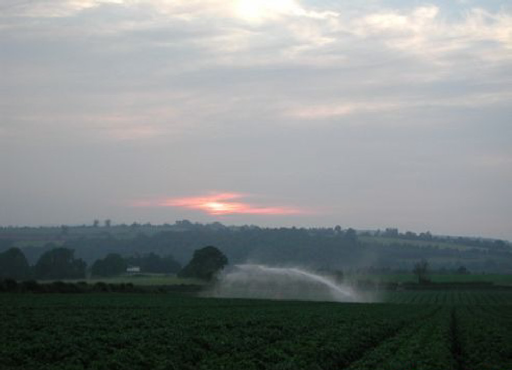 wp0588667a_0f.jpg