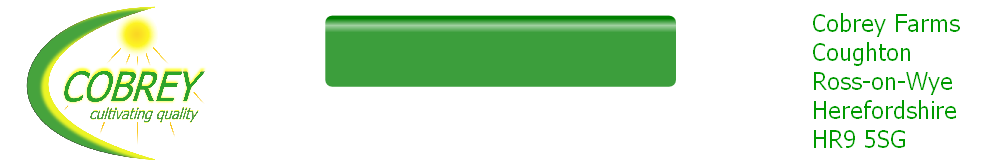 wp1837e67f.png
