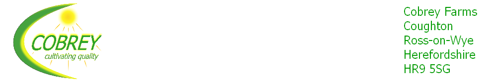 wp5d1c9ee0.png