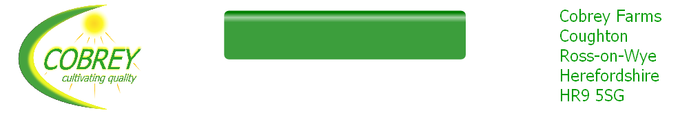 wp69c643af.png