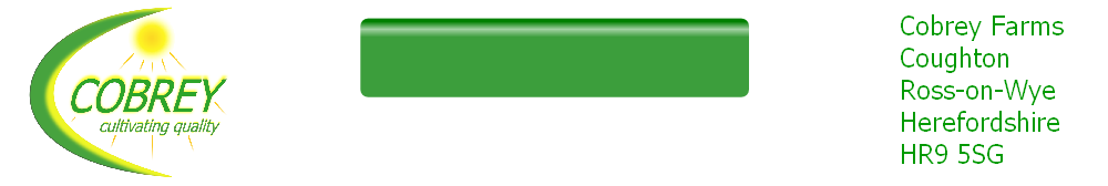wp83347d73.png