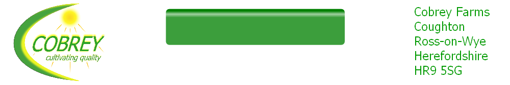 wp903ca0d8.png
