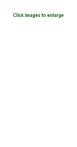 wp973677dd.png