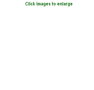 wp9cf8716c.png