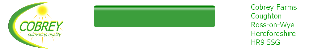 wp9d81ec43.png