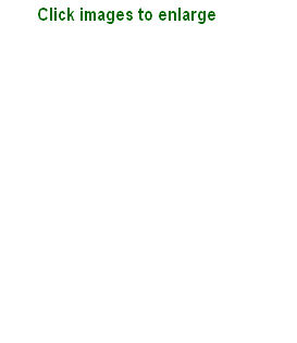 wpc156291d.png