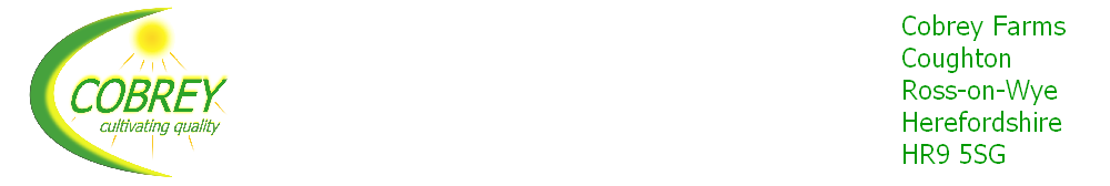 wpcc575575.png